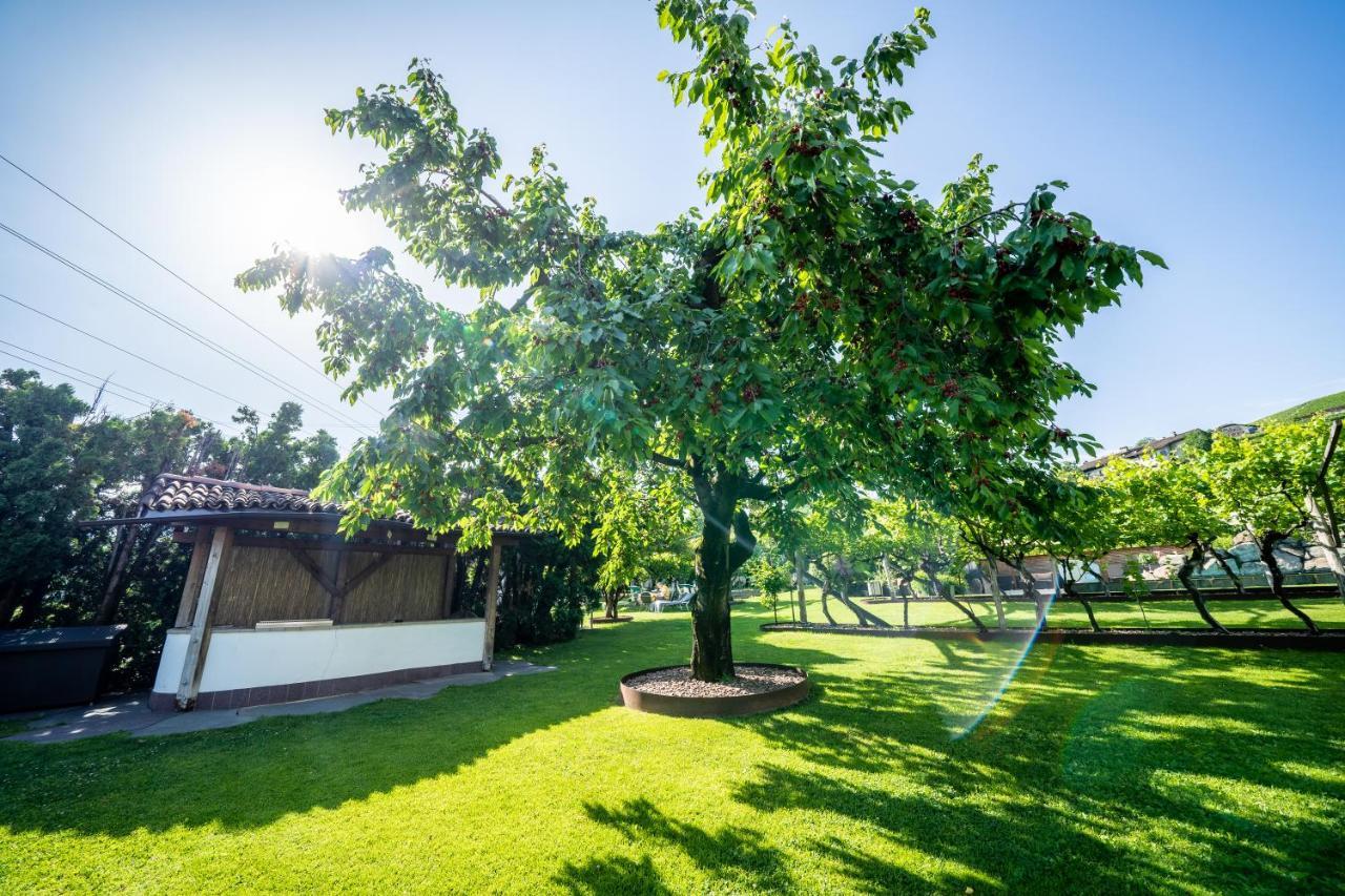 Hotel Frangart An Der Weinstrasse Appiano Sulla Strada Del Vino Extérieur photo